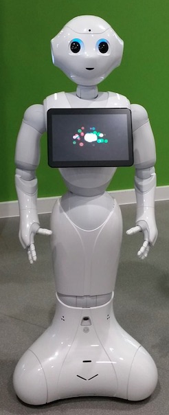 1-a-write-wai-robot-pic