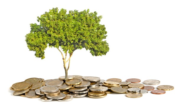 tree growing from pile of coins